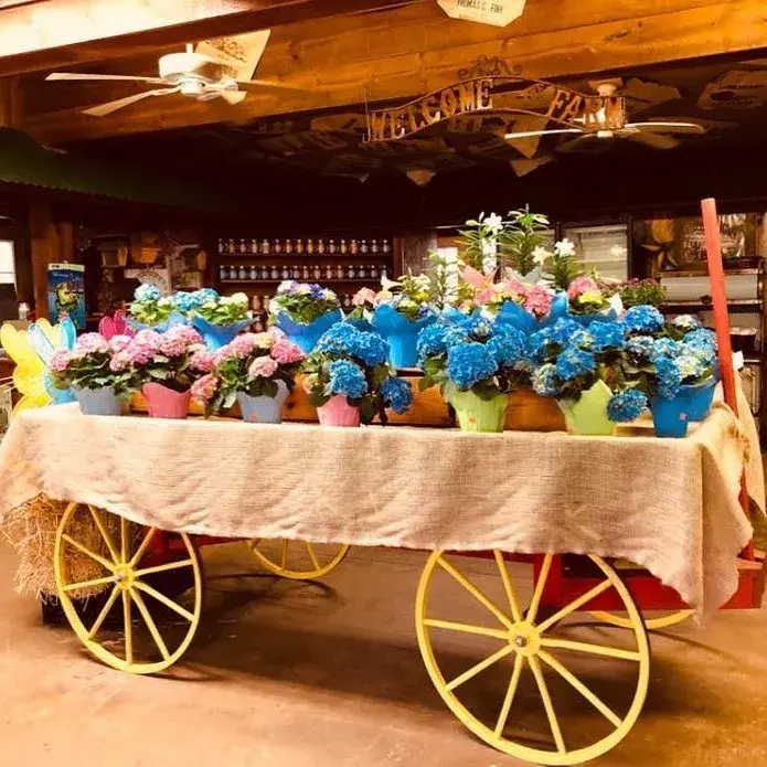Farm stand opening at Fink's Country Farm