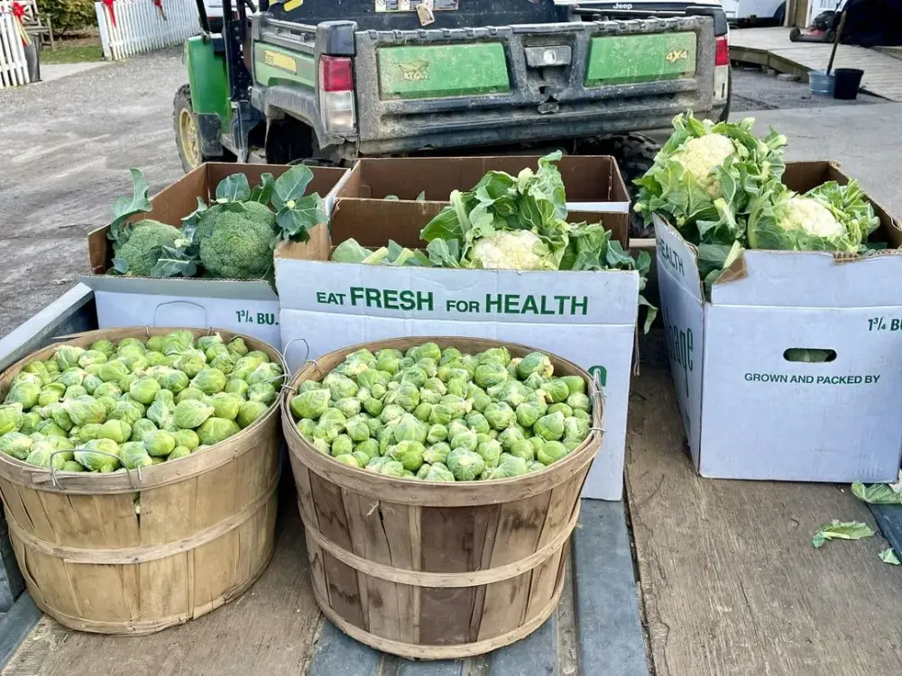 Honesty box at farm stand at Fink's Country Farm
