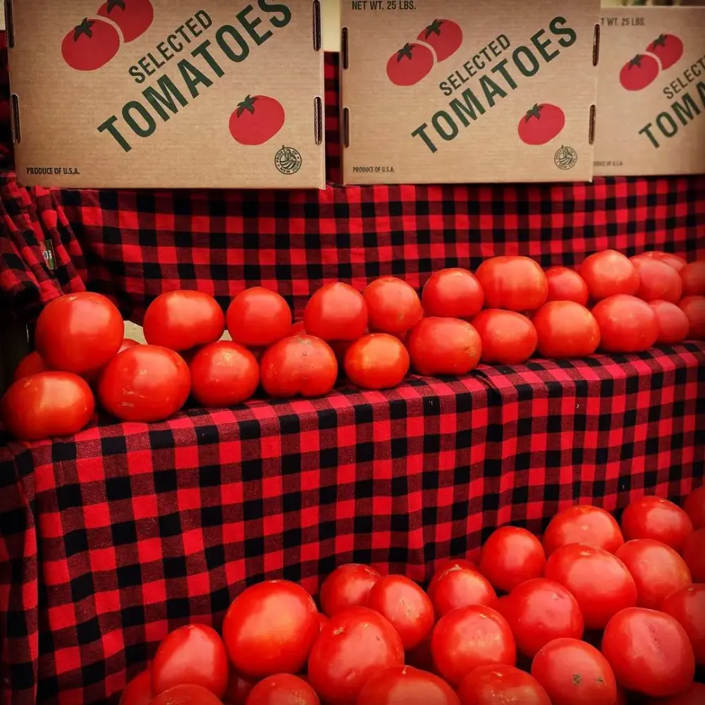 Local Long Island Tomatoes at Fink's Country Farm