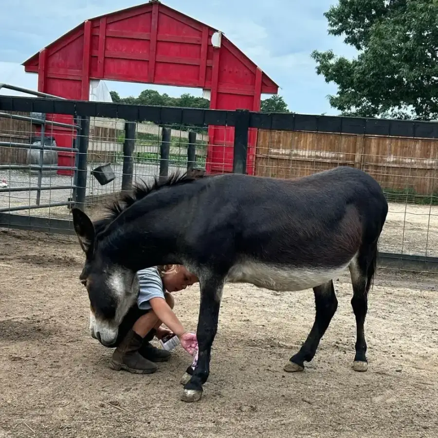 Stevie at Fink's Country Farm