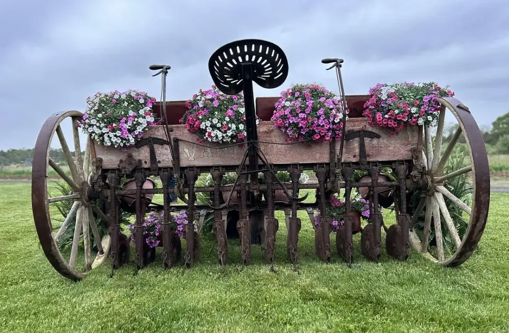 Fink's Country Farm