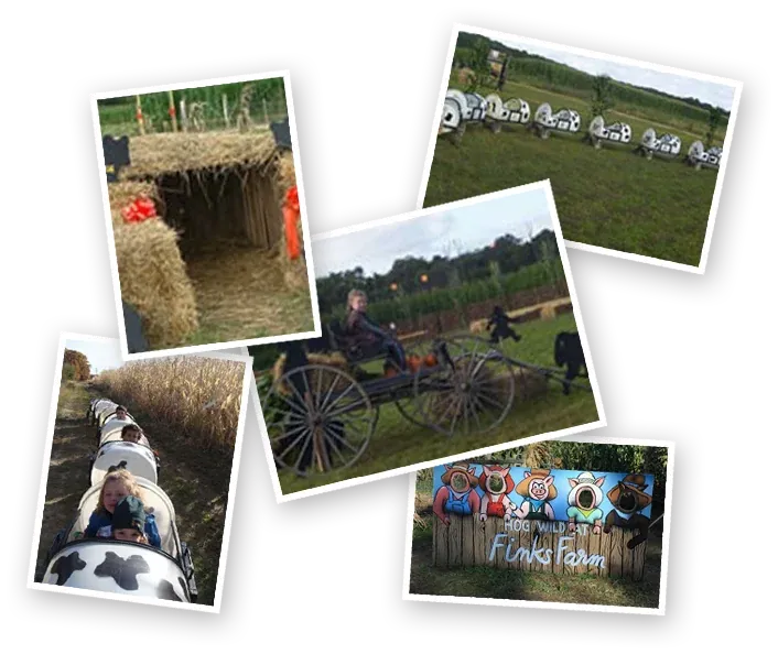 Farm fun at Fink's Country Farm