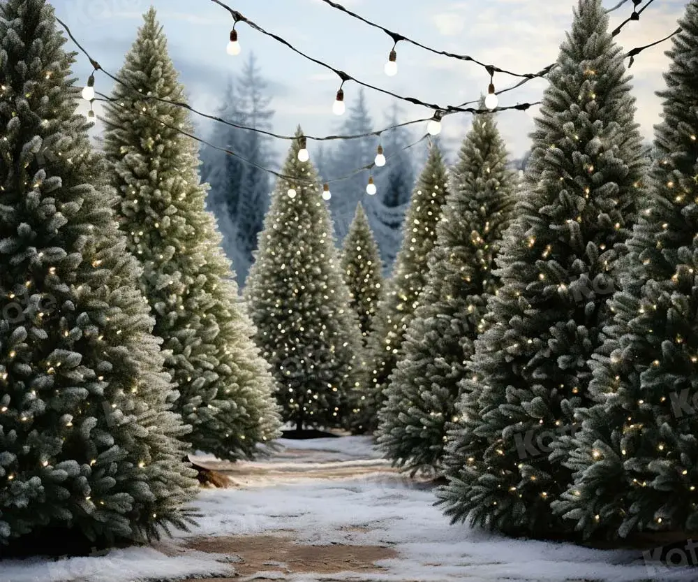 Winter at Fink's Farm